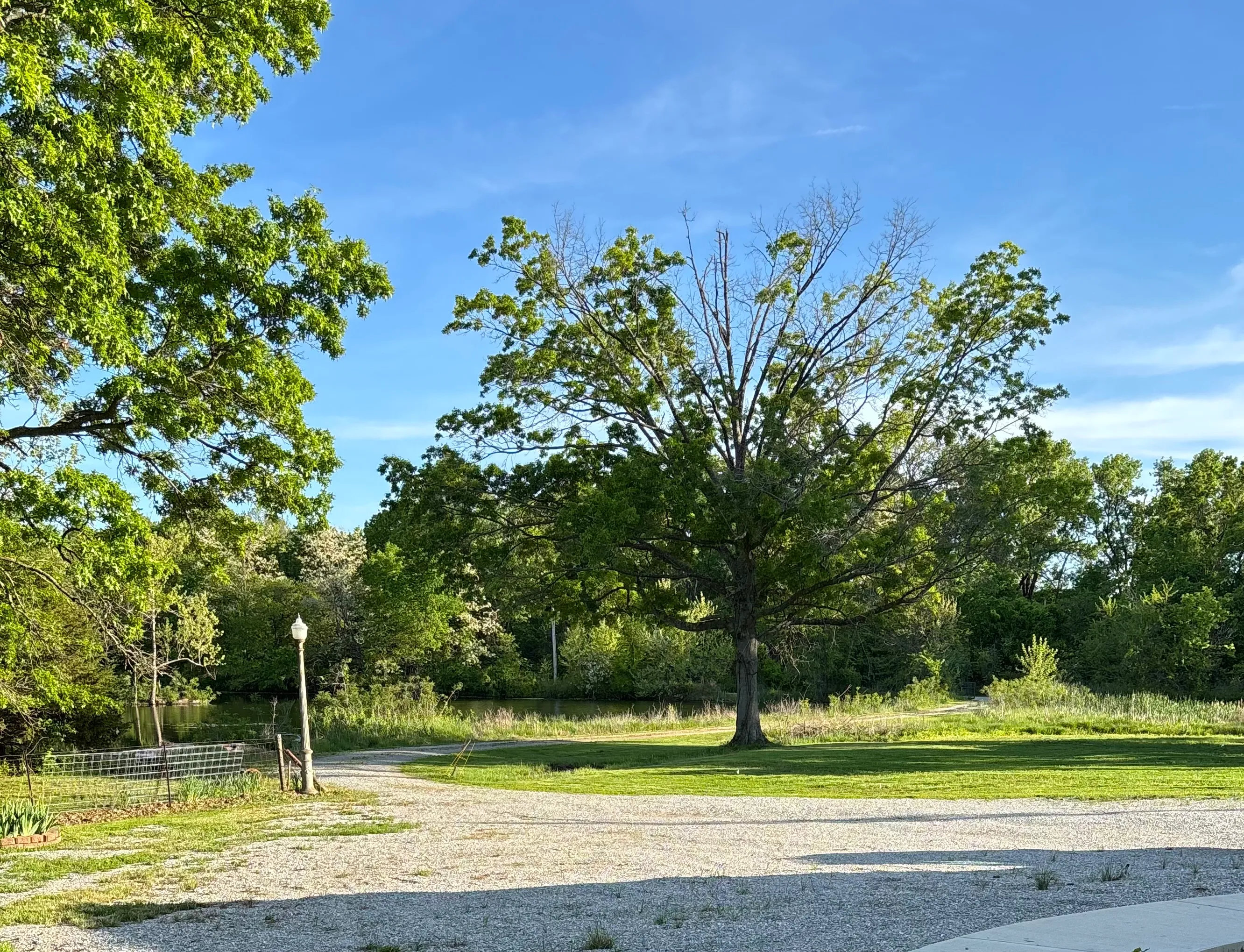 Scenic view of the entrance and driveway leading to Timber & Threads Retreat
